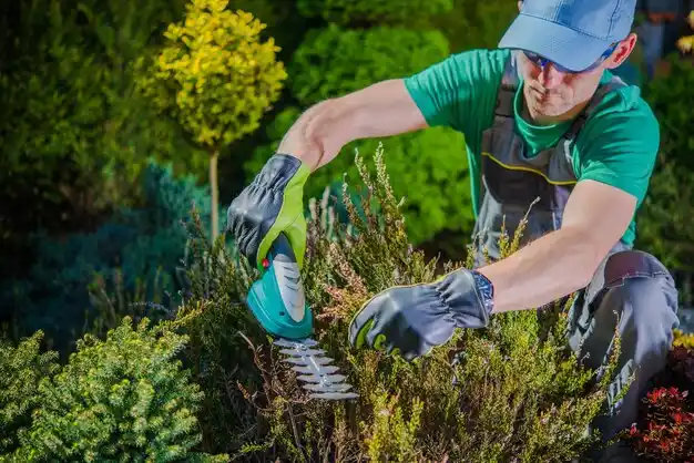 landscaping services St. Peters